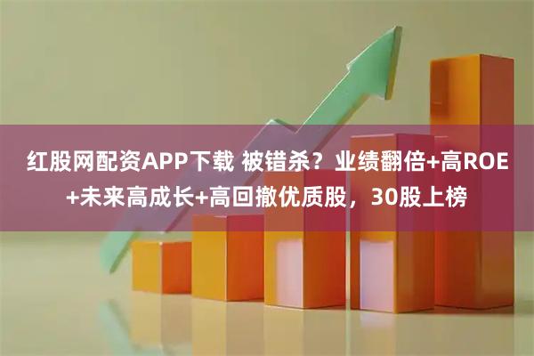 红股网配资APP下载 被错杀?业绩翻倍+高ROE+未来高成长+高回撤优质股,30股上榜