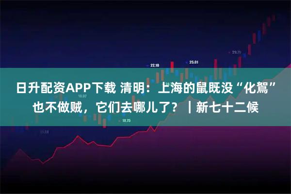 日升配资APP下载 清明:上海的鼠既没“化鴽”也不做贼,它们去哪儿了?|新七十二候