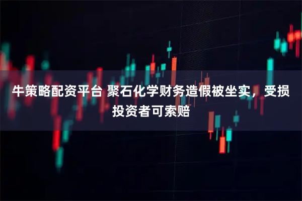 牛策略配资平台 聚石化学财务造假被坐实，受损投资者可索赔